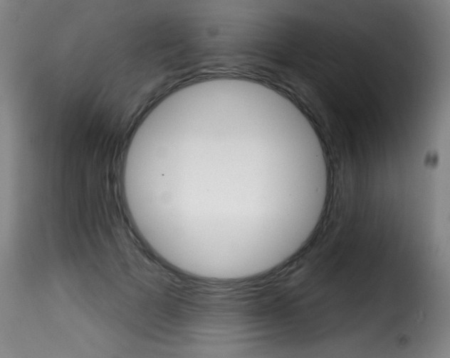 X0000116010697200911191238
