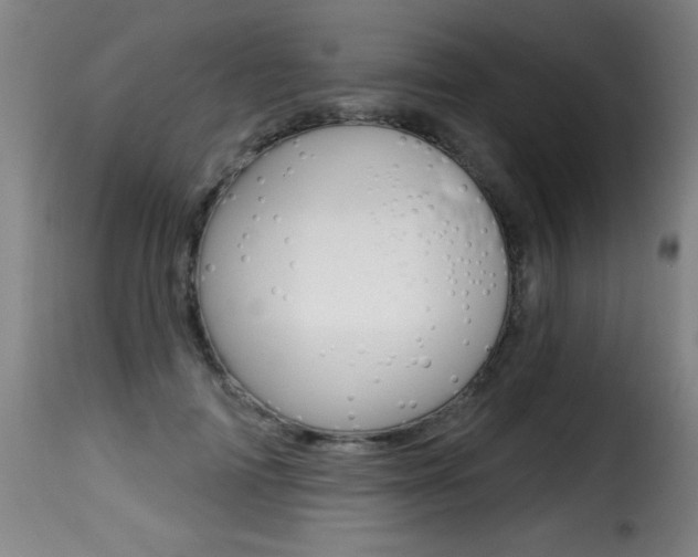 X0000116010698200911191238