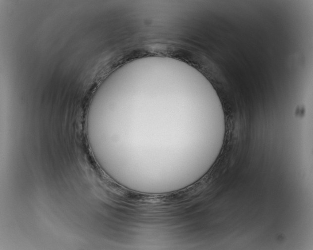 X0000116010702200911191238