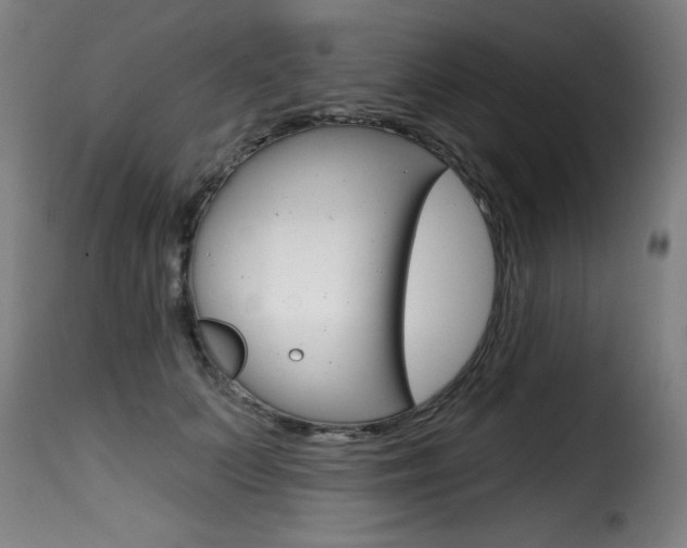 X0000116010703200911191238