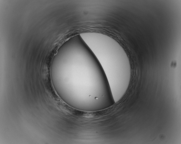 X0000116010704200911191238
