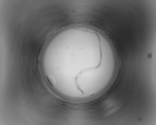 X0000116010705200911191238