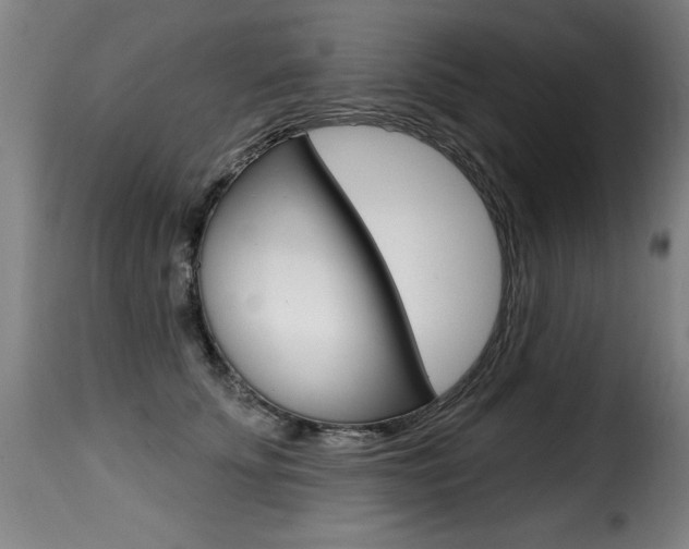 X0000116010707200911191238