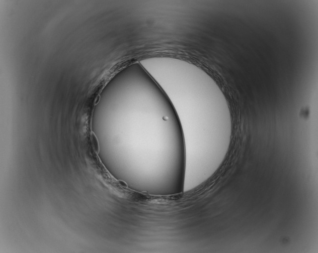 X0000116010708200911191238