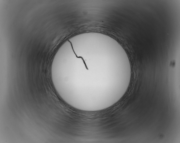 X0000116010709200911191238