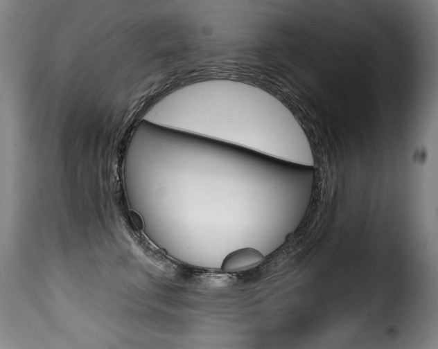 X0000116010711200911191238