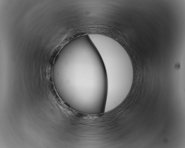 X0000116010712200911191238