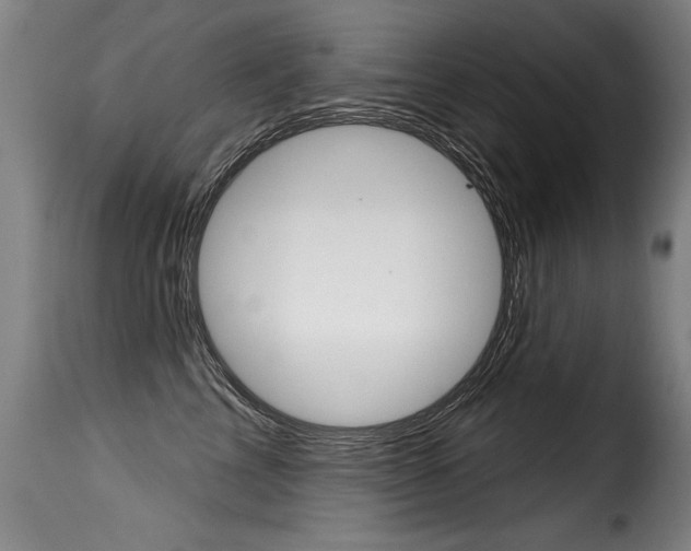 X0000116010713200911191238