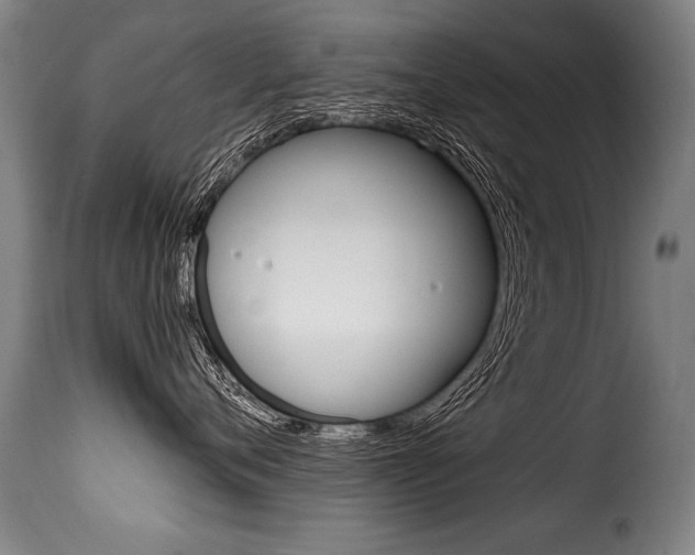 X0000116010720200911191237