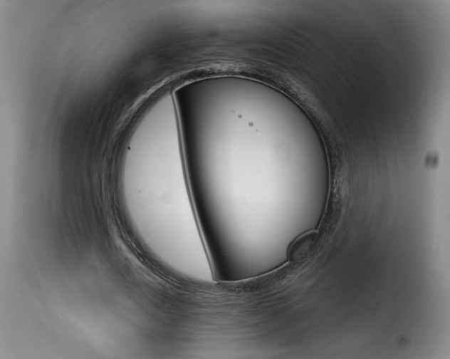 X0000116010722200911191236