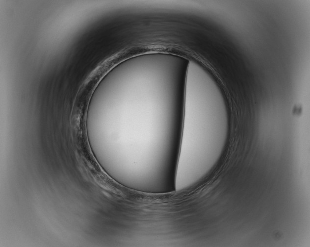 X0000116010723200911191236