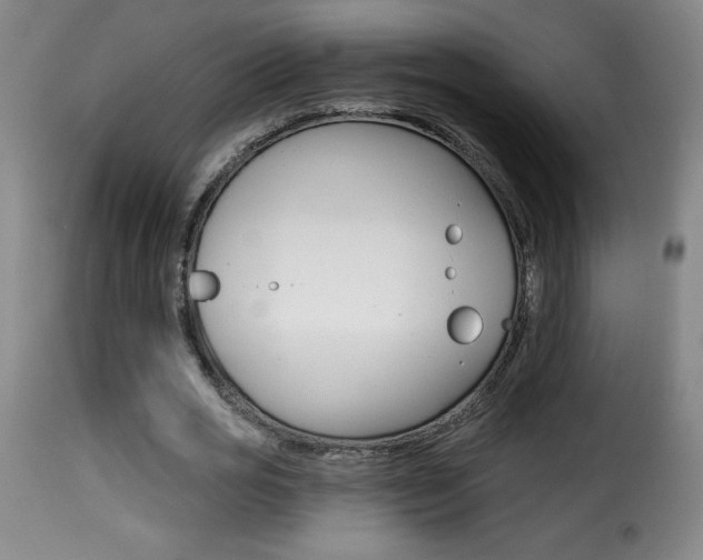 X0000116010725200911191236