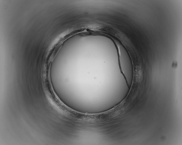 X0000116010726200911191236