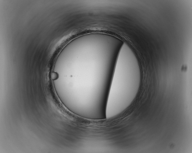 X0000116010727200911191237