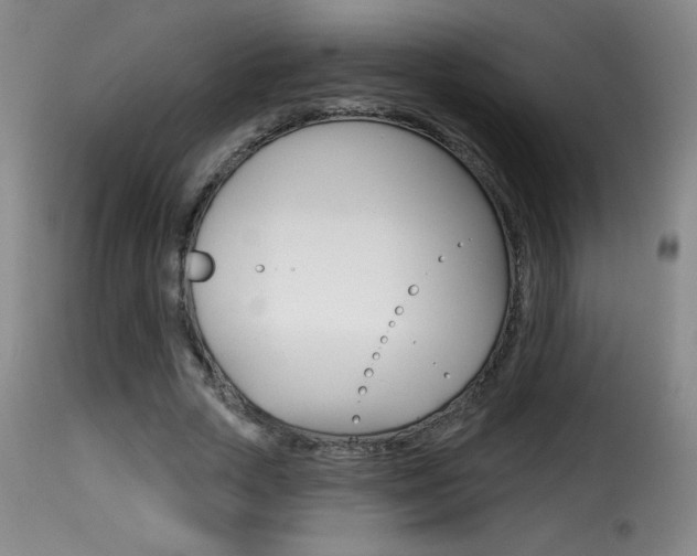 X0000116010729200911191237