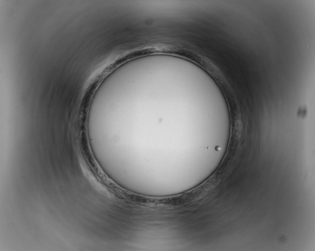 X0000116010730200911191237