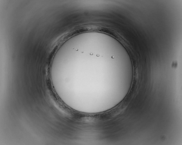 X0000116010733200911191237