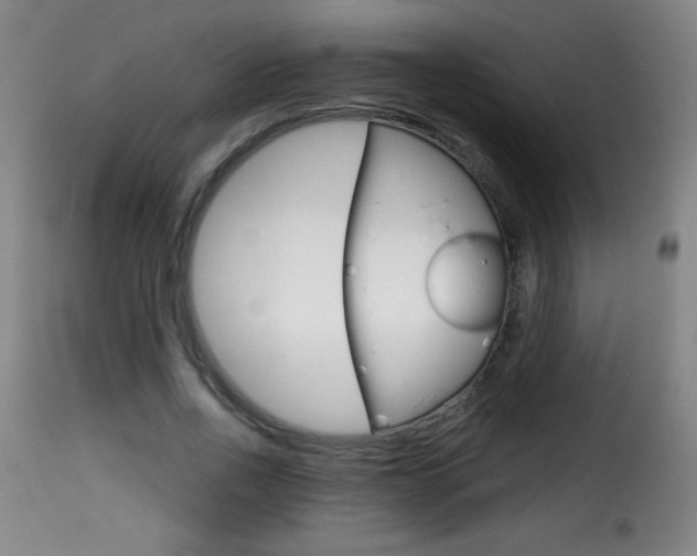 X0000116010734200911191237