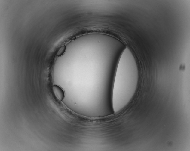 X0000116010735200911191237