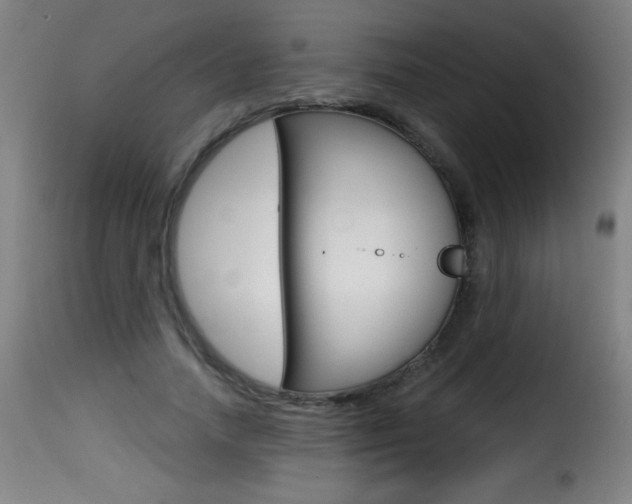 X0000116010738200911191237