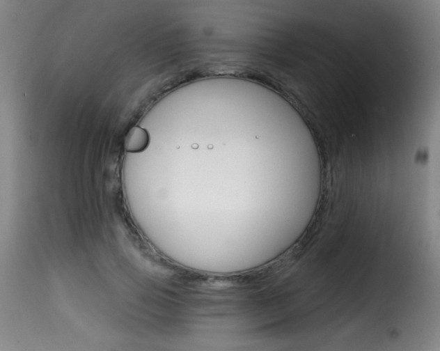 X0000116010741200911191237