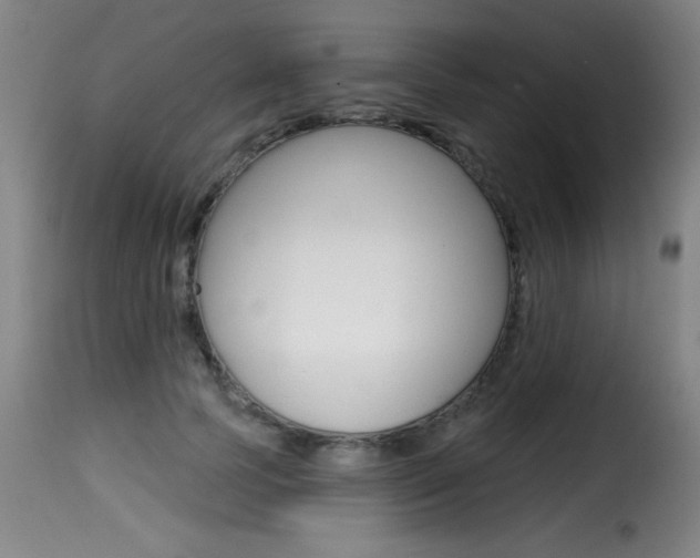 X0000116010745200911191237