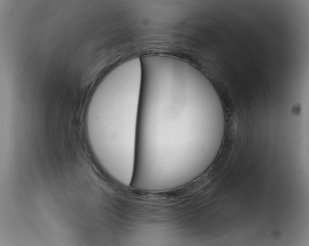X0000116010746200911191237
