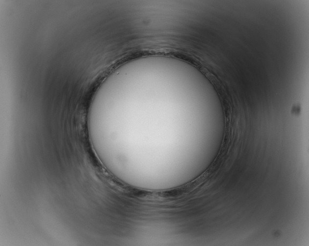 X0000116010747200911191237