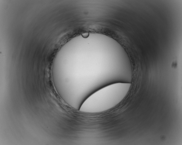 X0000116010749200911191237