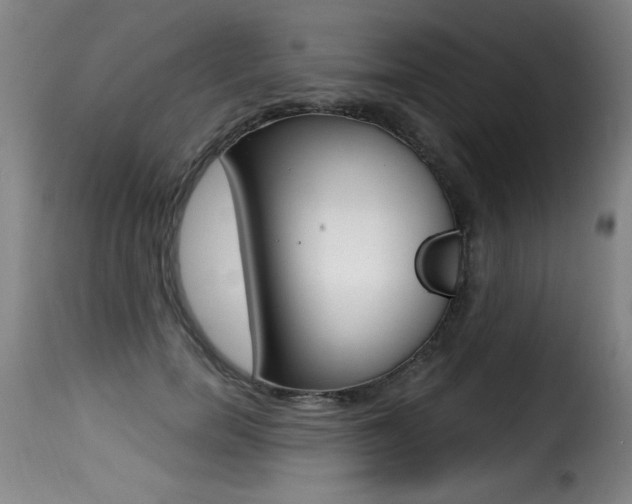 X0000116010750200911191237
