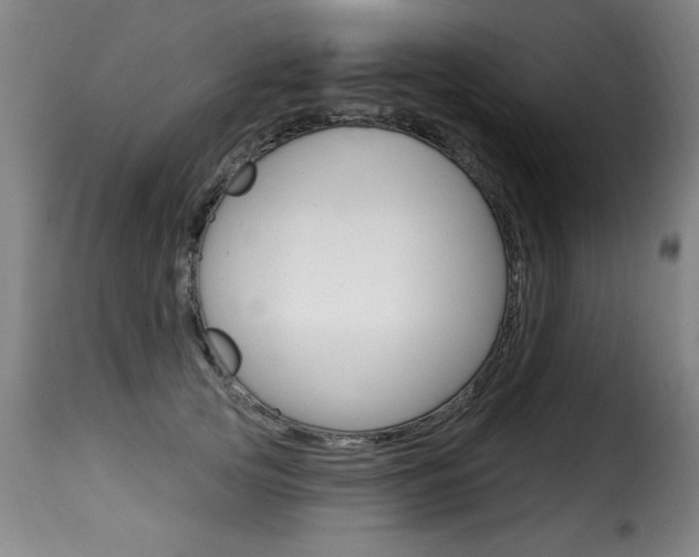 X0000116010753200911191237