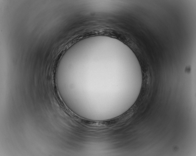 X0000116010754200911191237