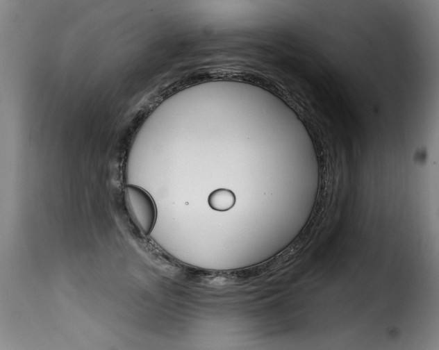 X0000116010755200911191237
