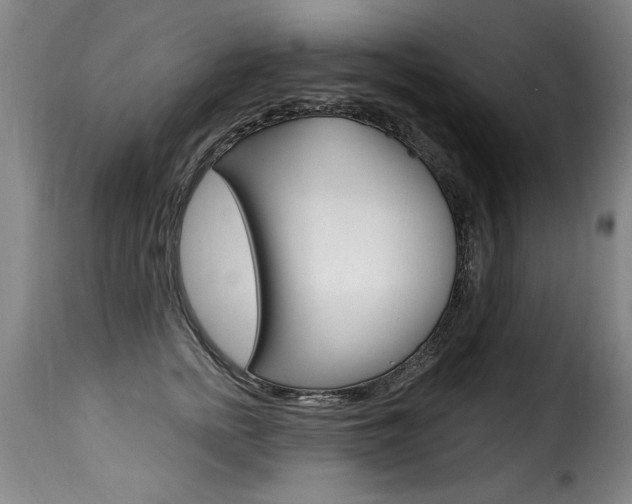 X0000116010758200911191237