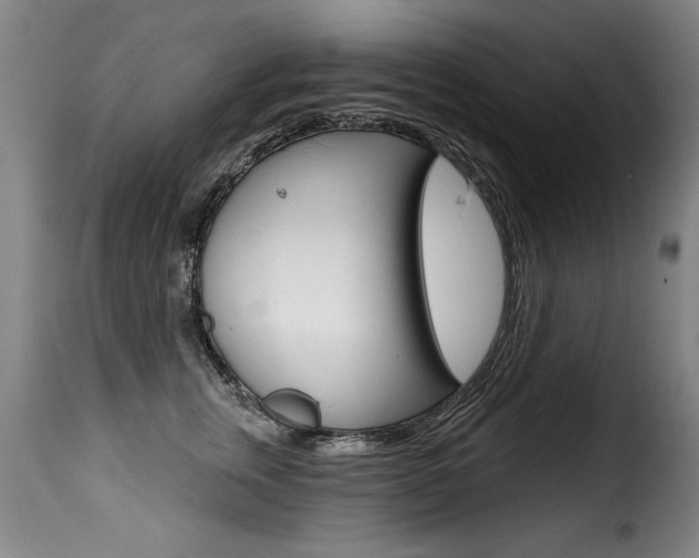 X0000116010759200911191237