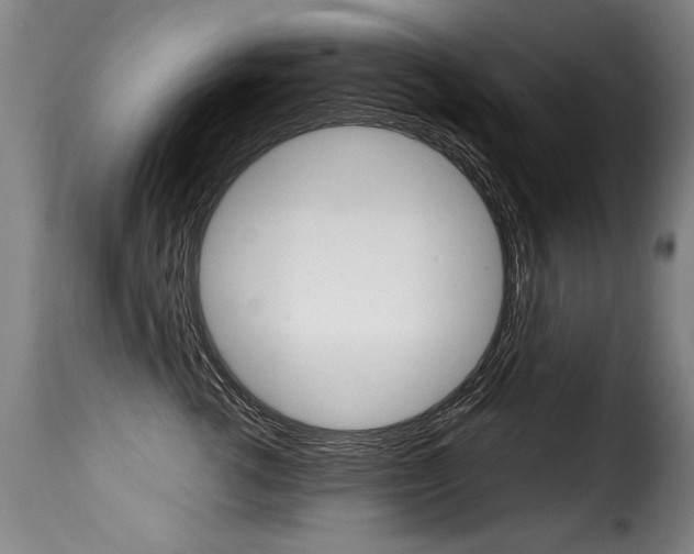 X0000116010762200911191237