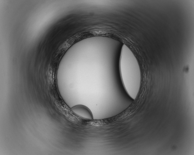 X0000116010763200911191237