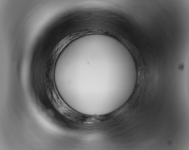 X0000116010765200911191237