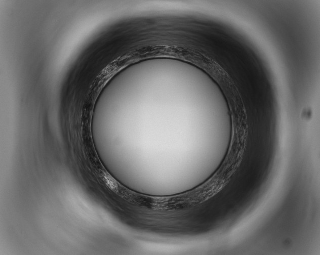 X0000116010766200911191237