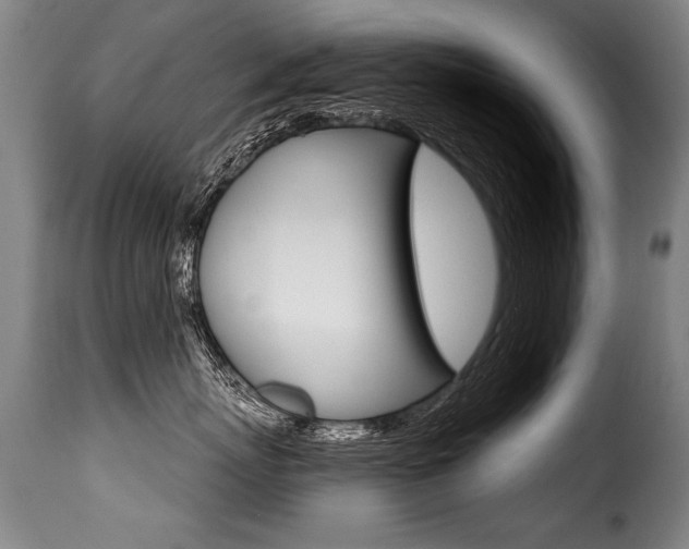 X0000116010767200911191237