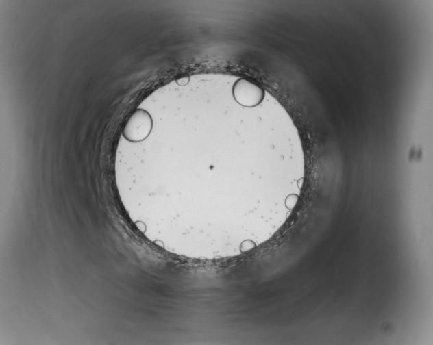X0000116010769200911191236