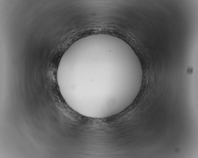 X0000116010770200911191236