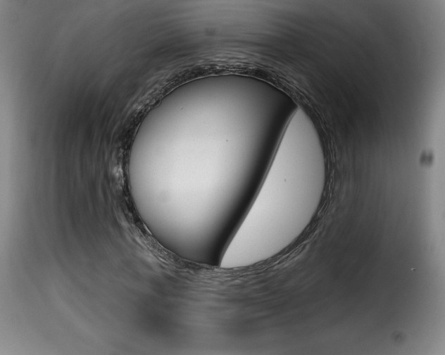 X0000116010771200911191236