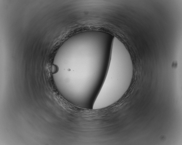 X0000116010772200911191236