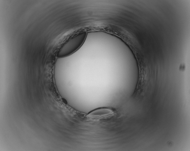 X0000116010773200911191236