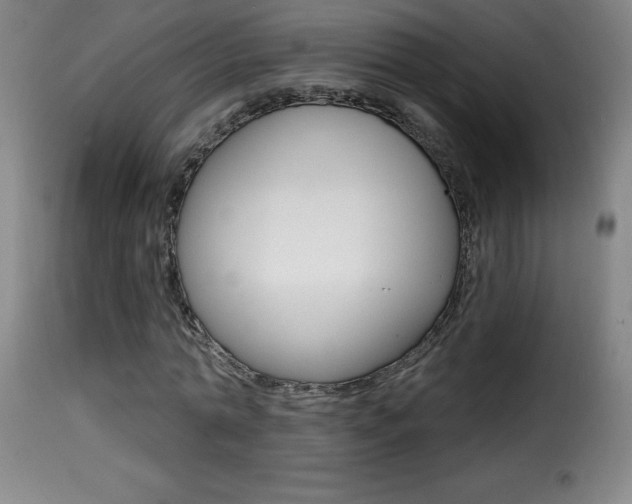 X0000116010774200911191236