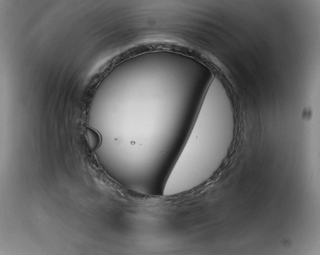 X0000116010775200911191236