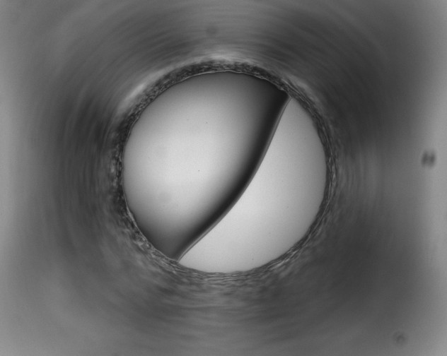 X0000116010776200911191236
