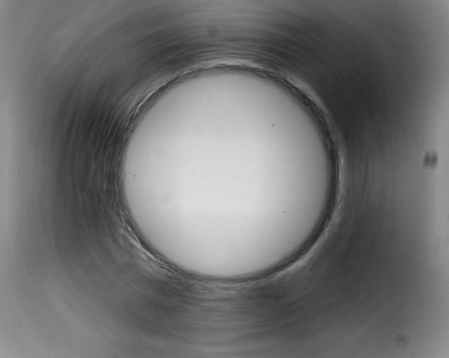 X0000116010777200911191236