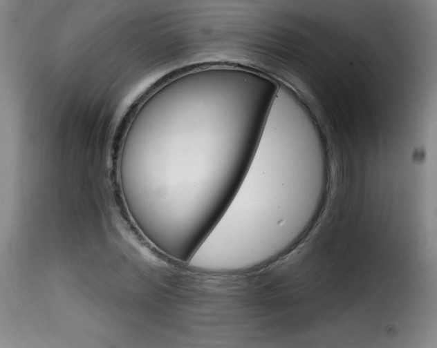 X0000116010780200911191236